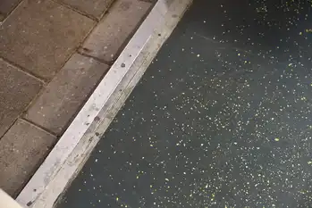 Gietvloer met spikkelmotief in bedrijfskantine en op de werkvloer Gietvloer Noord